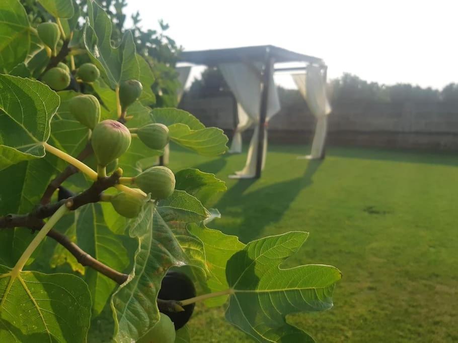 Casa Vacanze Salento: Villa Charlotte Torre Santa Susanna Zewnętrze zdjęcie