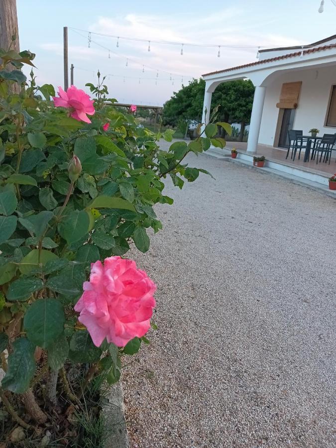 Casa Vacanze Salento: Villa Charlotte Torre Santa Susanna Zewnętrze zdjęcie